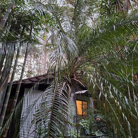 Alaya Escape Bed & Breakfast Eudlo Bagian luar foto