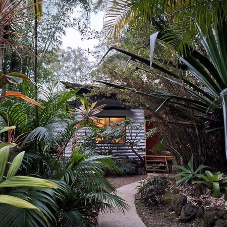 Alaya Escape Bed & Breakfast Eudlo Bagian luar foto