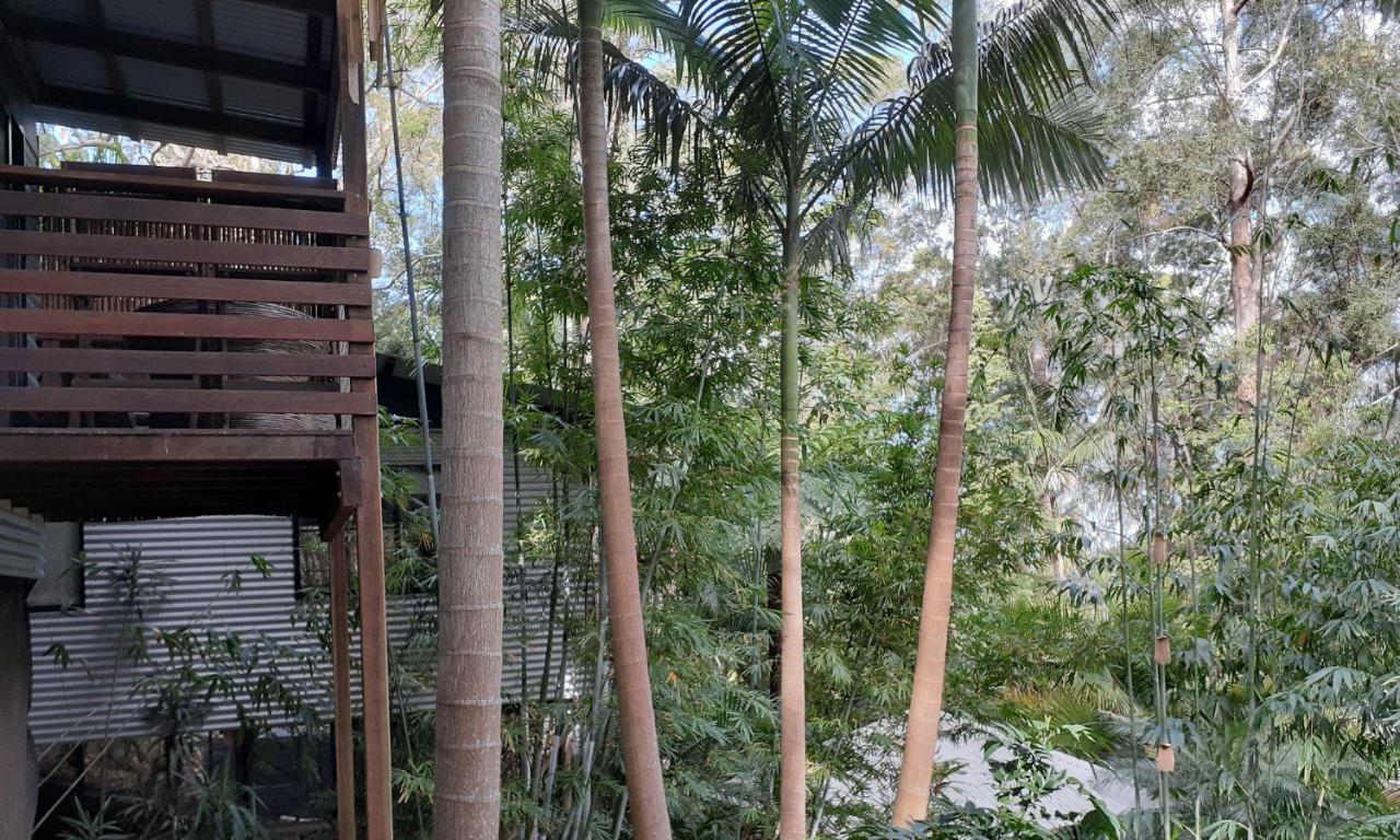 Alaya Escape Bed & Breakfast Eudlo Bagian luar foto