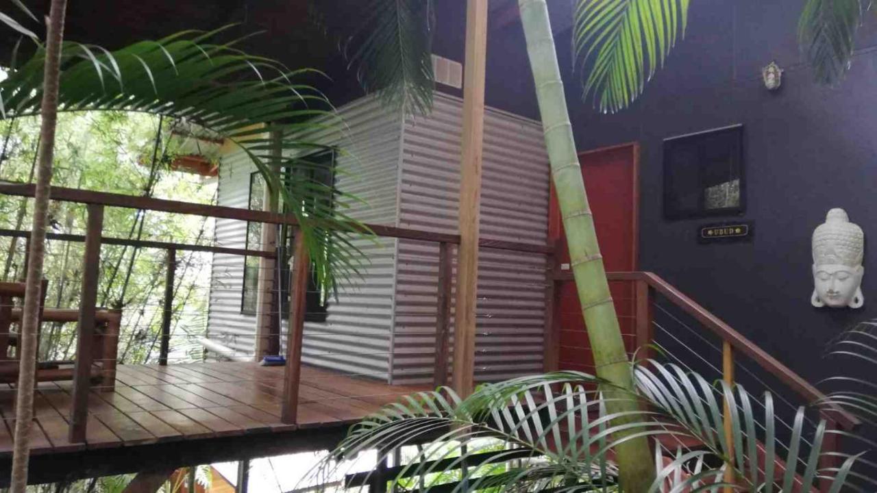 Alaya Escape Bed & Breakfast Eudlo Bagian luar foto