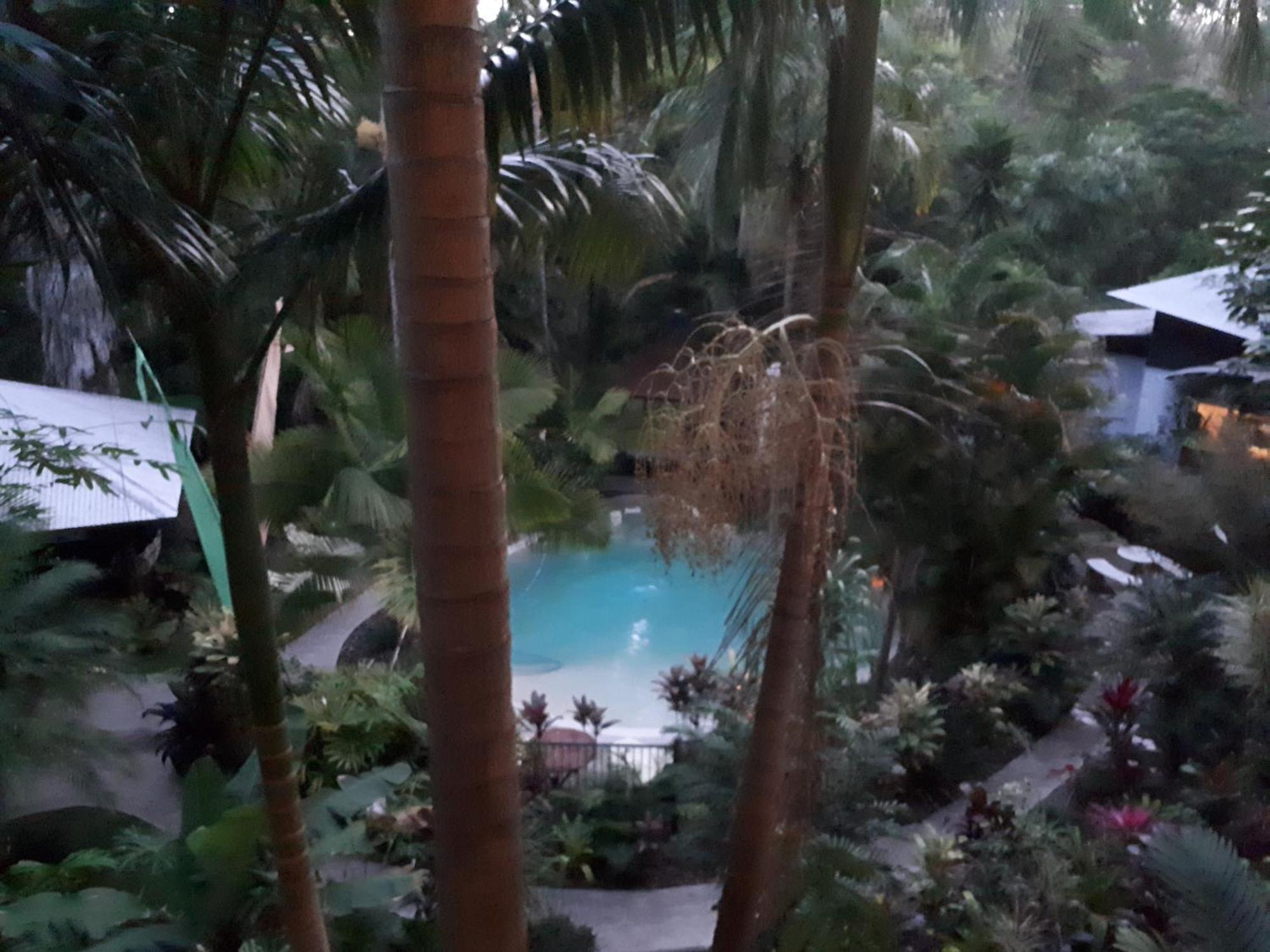 Alaya Escape Bed & Breakfast Eudlo Bagian luar foto