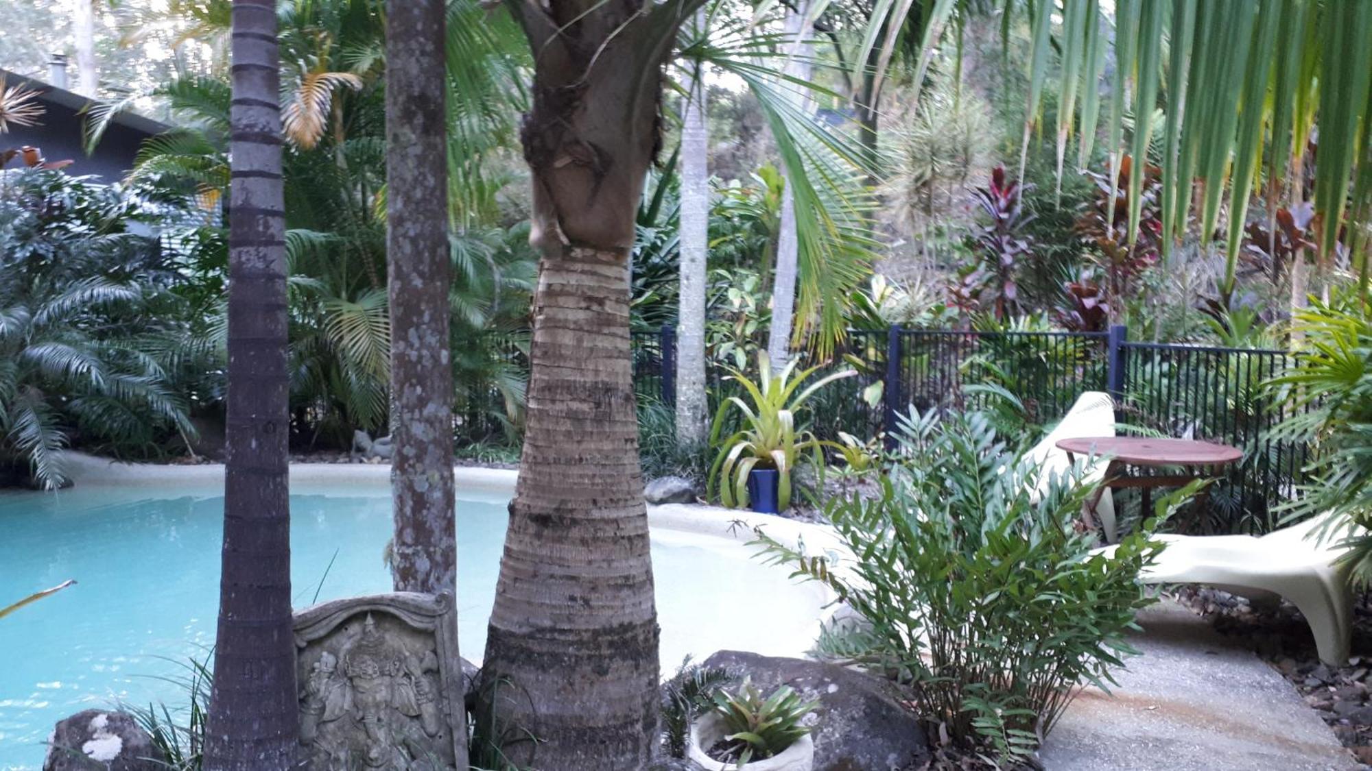 Alaya Escape Bed & Breakfast Eudlo Bagian luar foto
