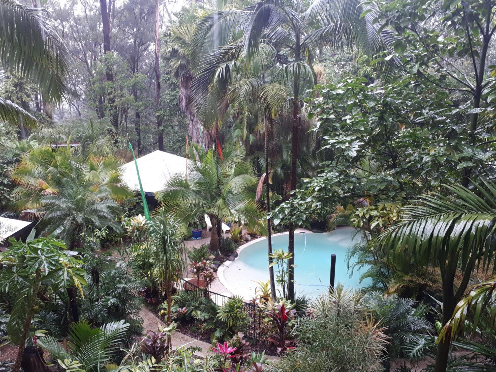 Alaya Escape Bed & Breakfast Eudlo Bagian luar foto
