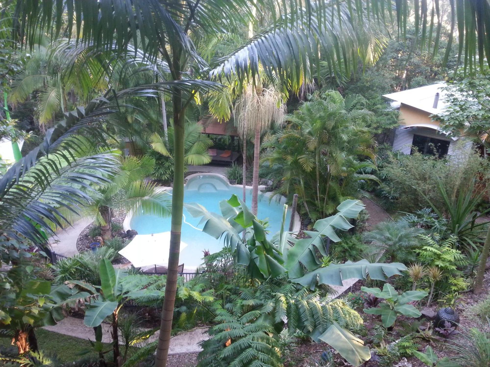 Alaya Escape Bed & Breakfast Eudlo Ruang foto