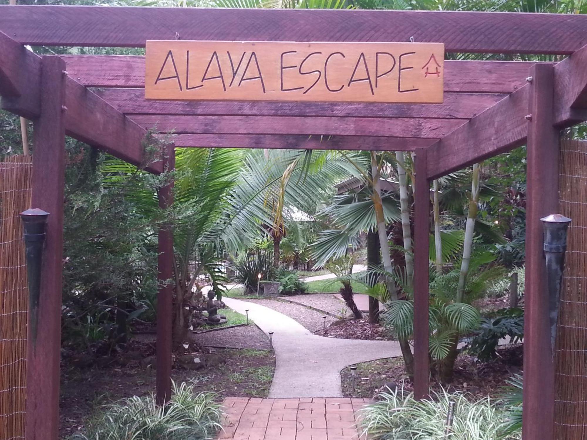 Alaya Escape Bed & Breakfast Eudlo Bagian luar foto