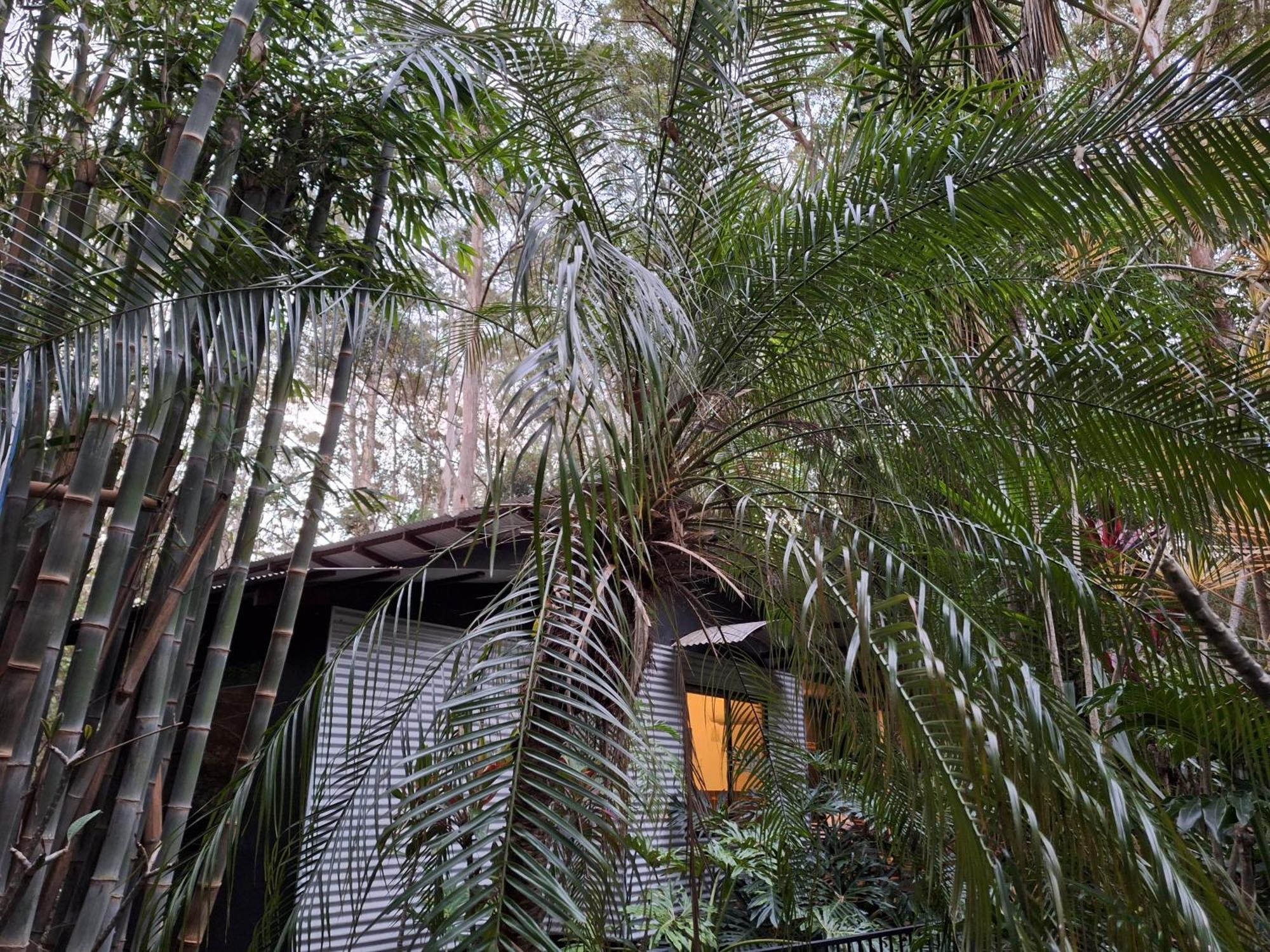Alaya Escape Bed & Breakfast Eudlo Bagian luar foto