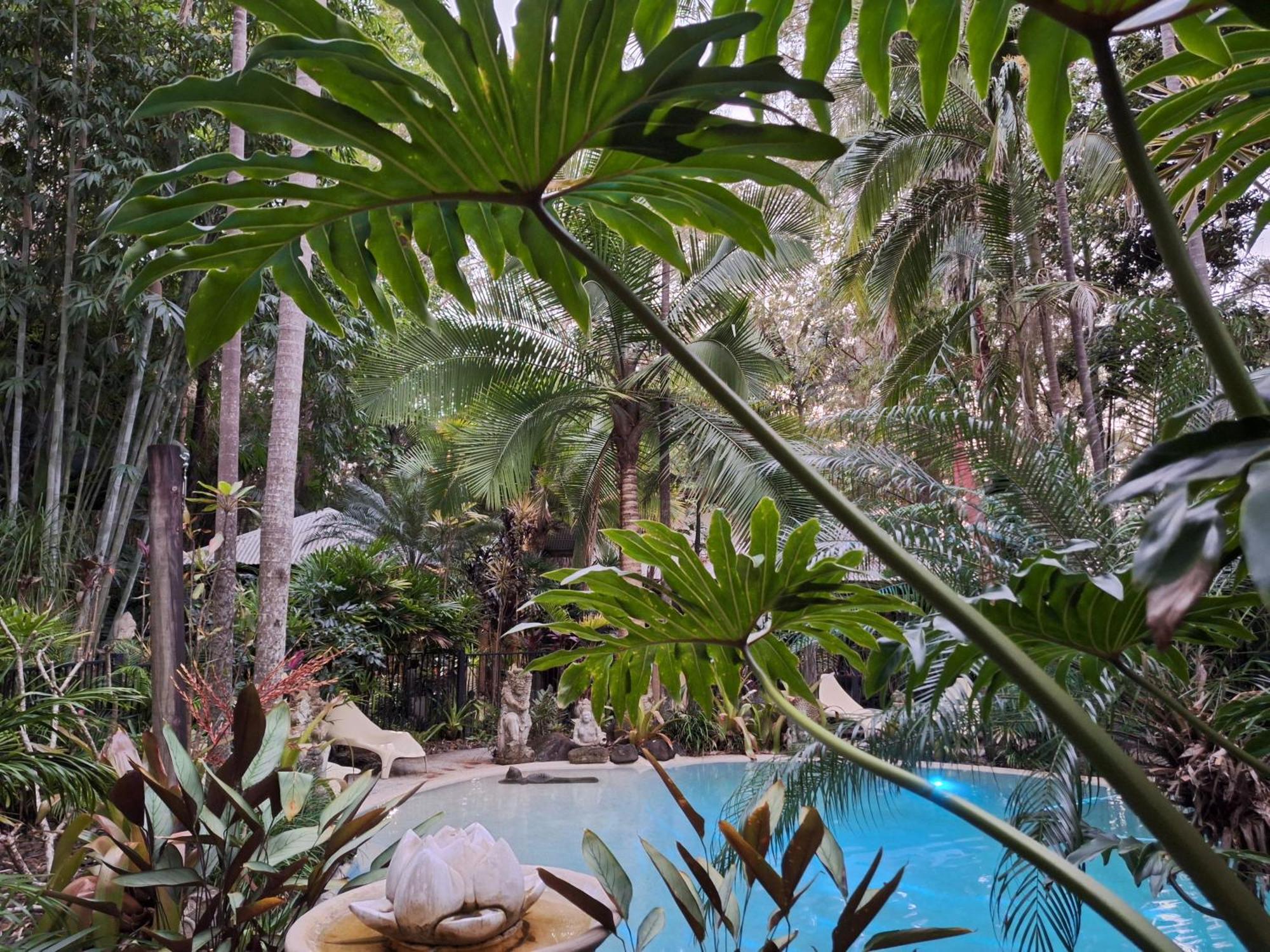 Alaya Escape Bed & Breakfast Eudlo Bagian luar foto