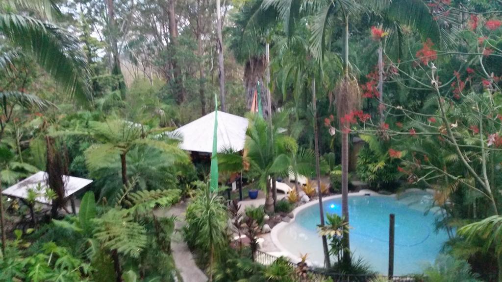 Alaya Escape Bed & Breakfast Eudlo Bagian luar foto