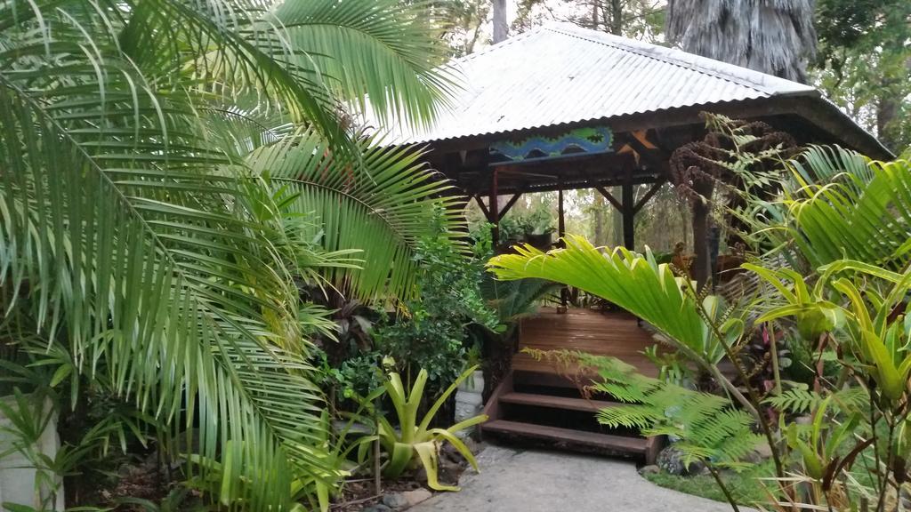 Alaya Escape Bed & Breakfast Eudlo Bagian luar foto