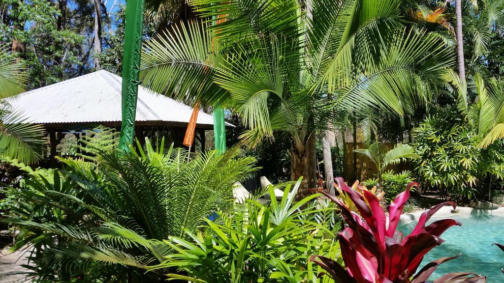 Alaya Escape Bed & Breakfast Eudlo Bagian luar foto
