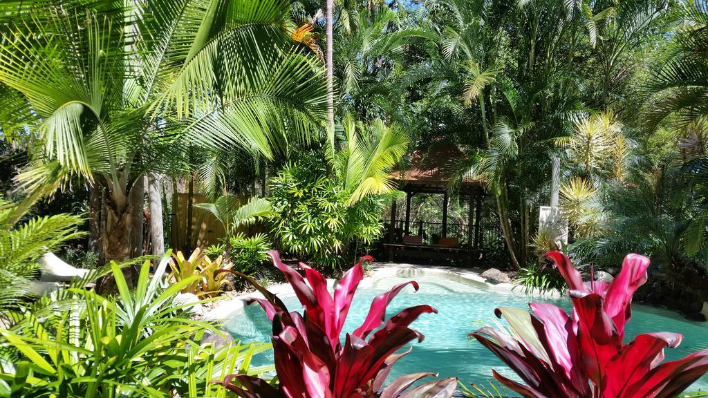 Alaya Escape Bed & Breakfast Eudlo Bagian luar foto