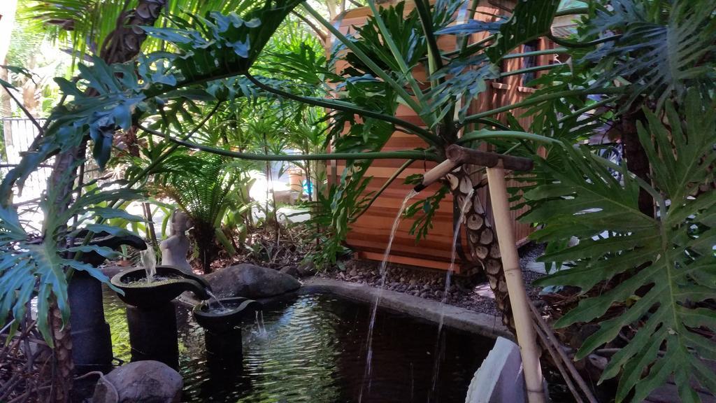Alaya Escape Bed & Breakfast Eudlo Bagian luar foto